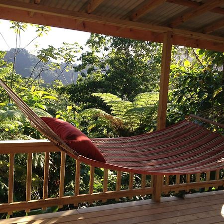 Marigot Roots Jungle Retreatヴィラ エクステリア 写真