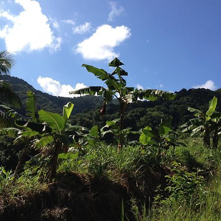 Marigot Roots Jungle Retreatヴィラ エクステリア 写真