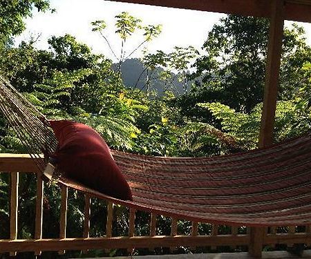 Marigot Roots Jungle Retreatヴィラ エクステリア 写真