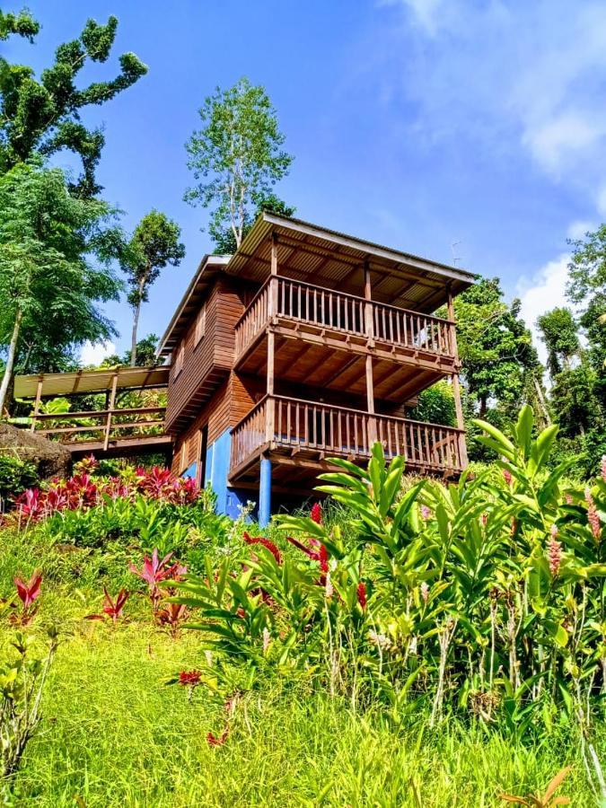 Marigot Roots Jungle Retreatヴィラ エクステリア 写真