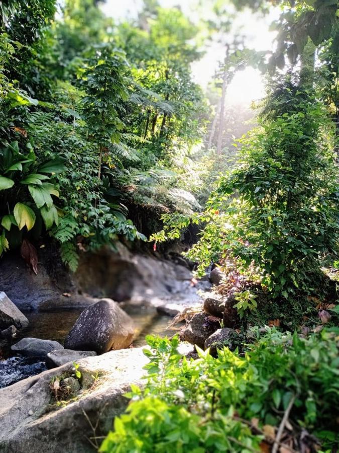 Marigot Roots Jungle Retreatヴィラ エクステリア 写真