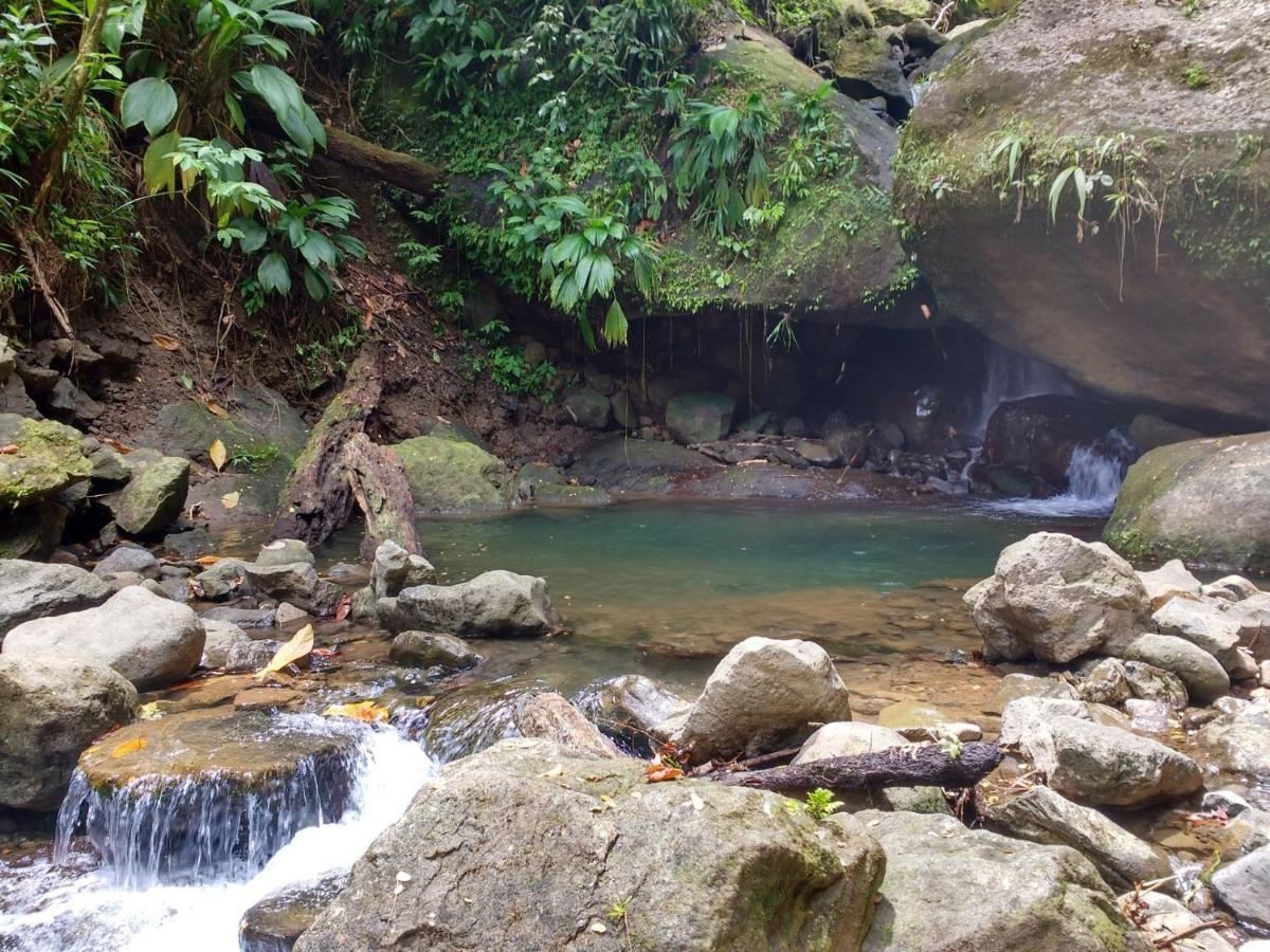 Marigot Roots Jungle Retreatヴィラ エクステリア 写真
