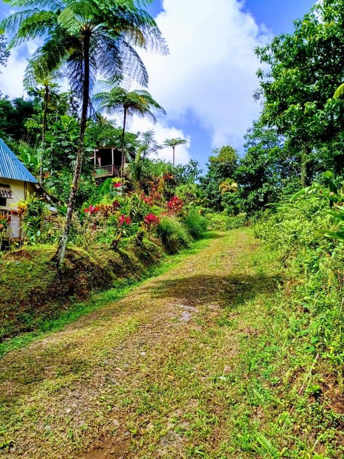 Marigot Roots Jungle Retreatヴィラ エクステリア 写真
