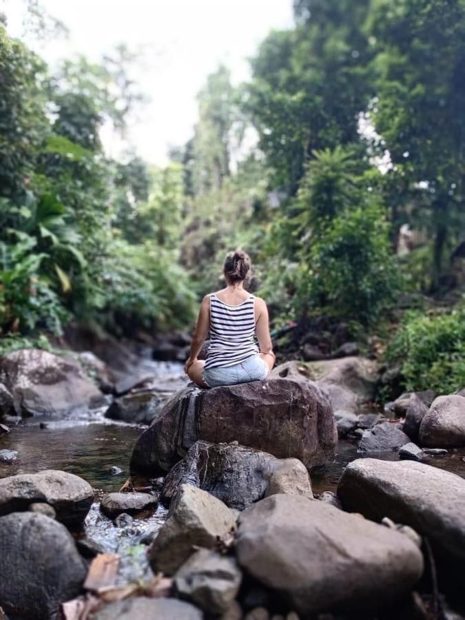 Marigot Roots Jungle Retreatヴィラ エクステリア 写真
