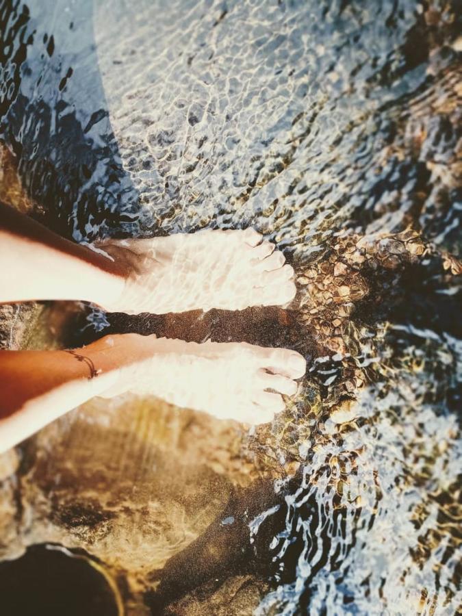 Marigot Roots Jungle Retreatヴィラ エクステリア 写真