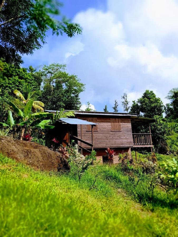 Marigot Roots Jungle Retreatヴィラ エクステリア 写真