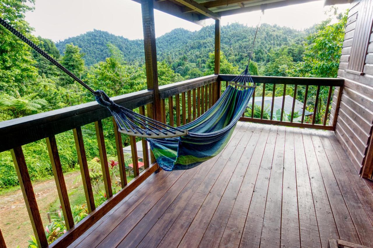 Marigot Roots Jungle Retreatヴィラ エクステリア 写真