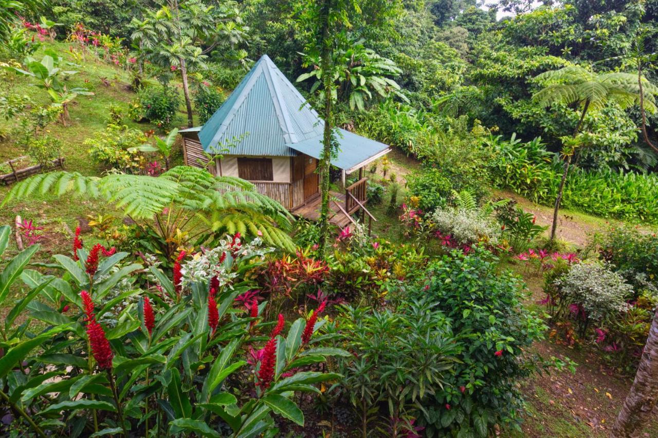 Marigot Roots Jungle Retreatヴィラ エクステリア 写真