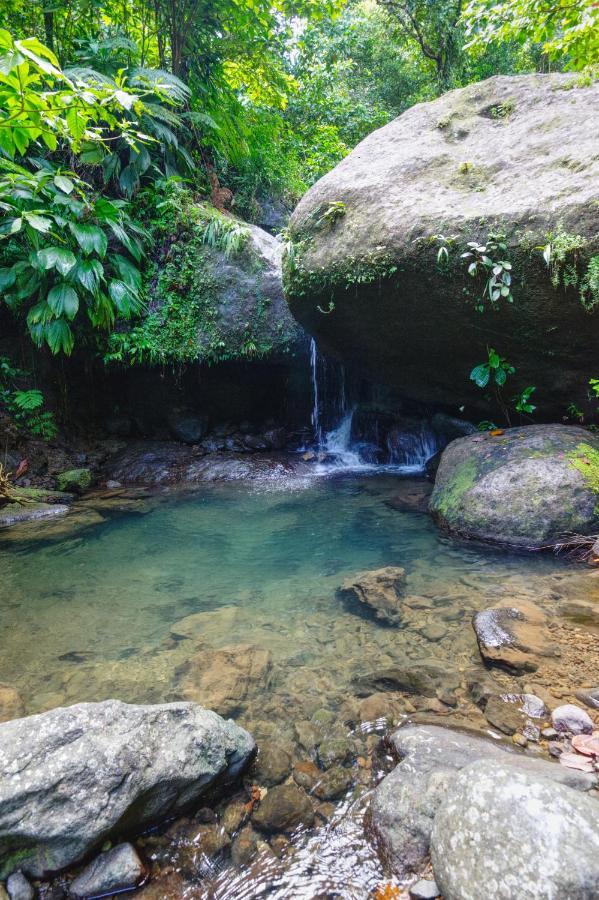Marigot Roots Jungle Retreatヴィラ エクステリア 写真