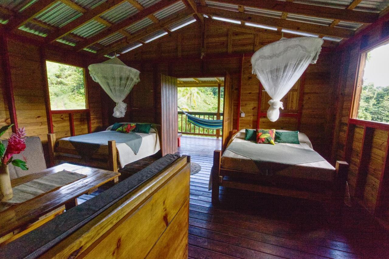 Marigot Roots Jungle Retreatヴィラ エクステリア 写真