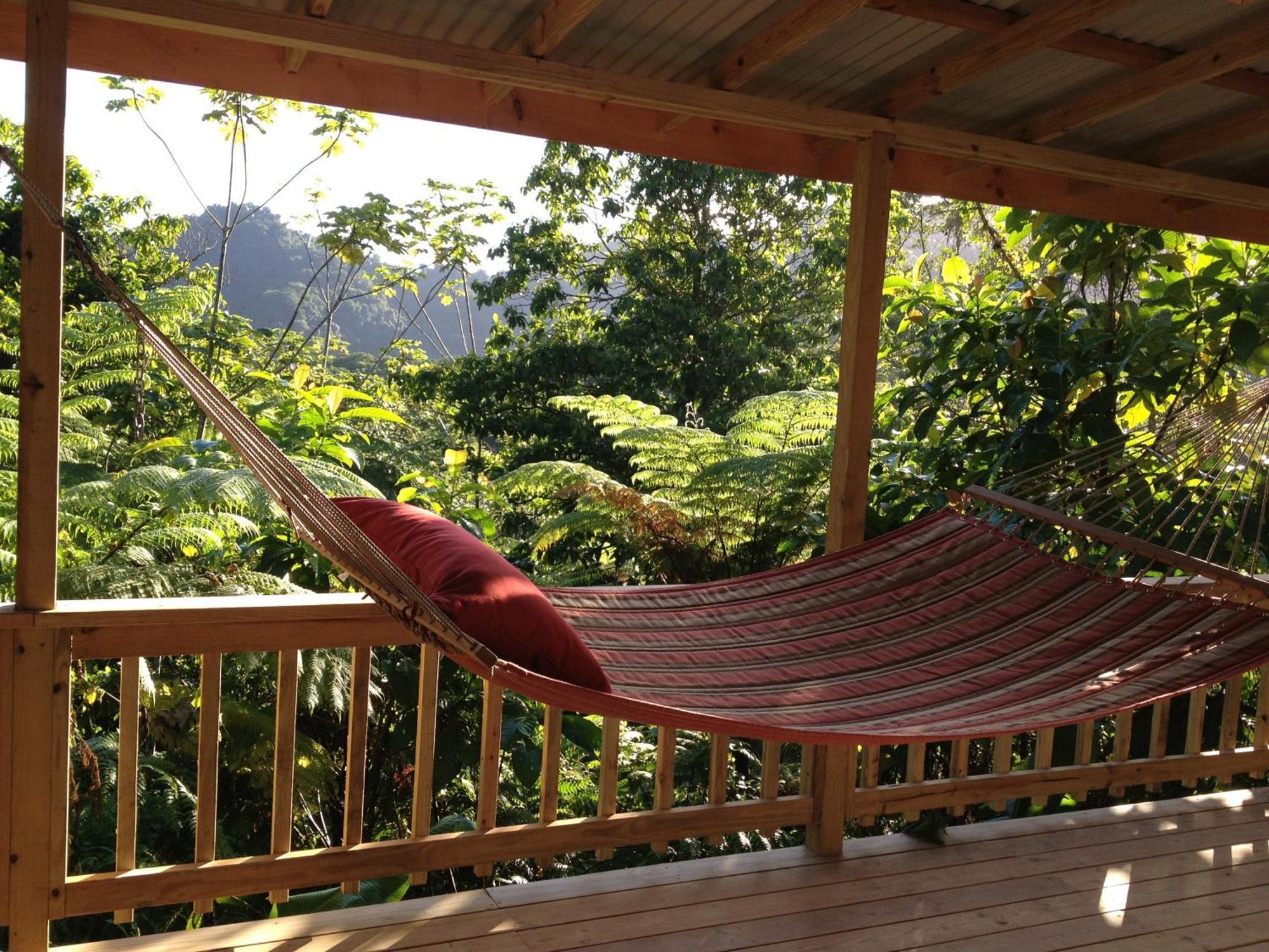 Marigot Roots Jungle Retreatヴィラ エクステリア 写真