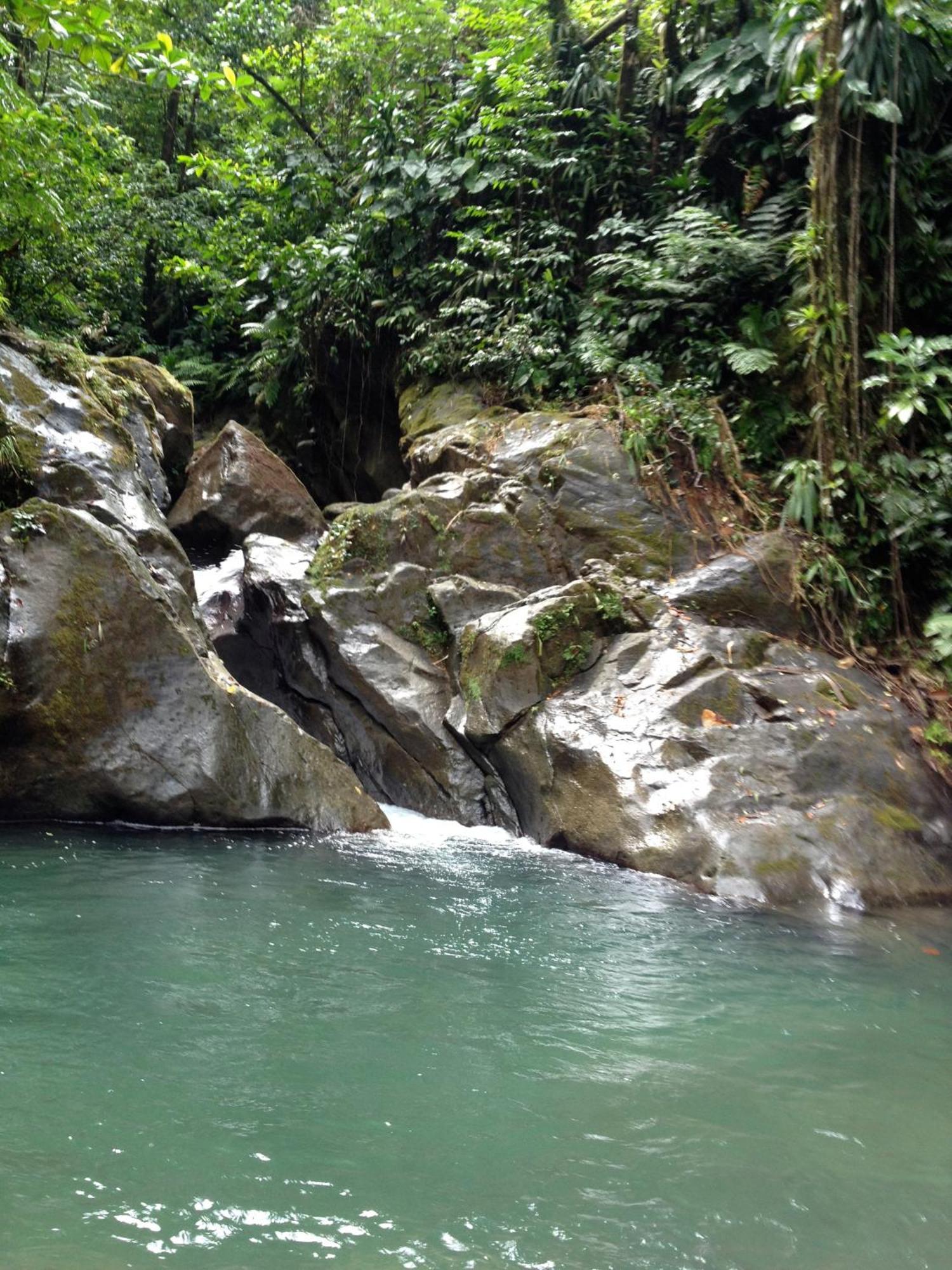 Marigot Roots Jungle Retreatヴィラ エクステリア 写真