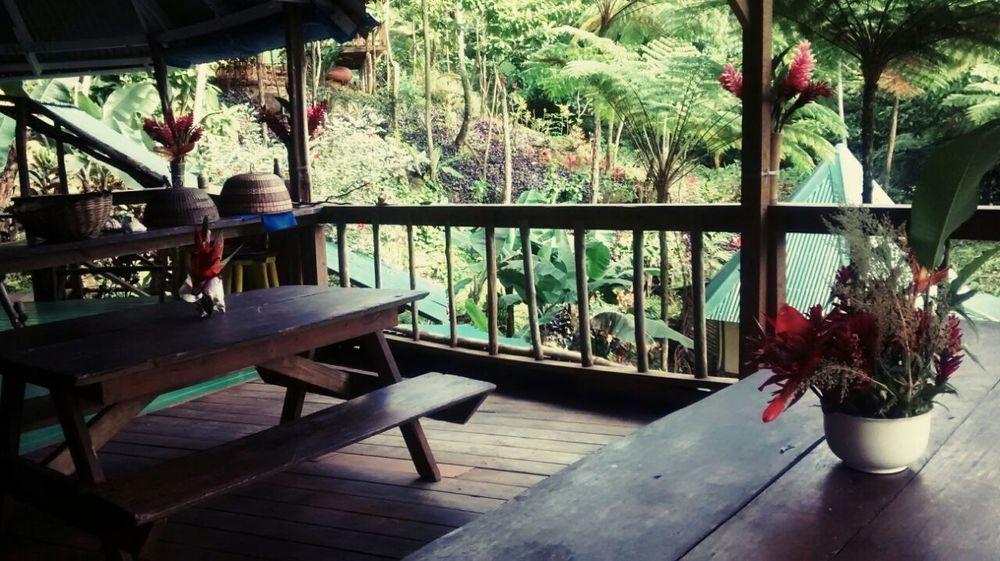 Marigot Roots Jungle Retreatヴィラ エクステリア 写真