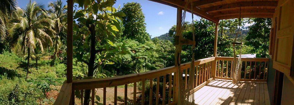 Marigot Roots Jungle Retreatヴィラ エクステリア 写真