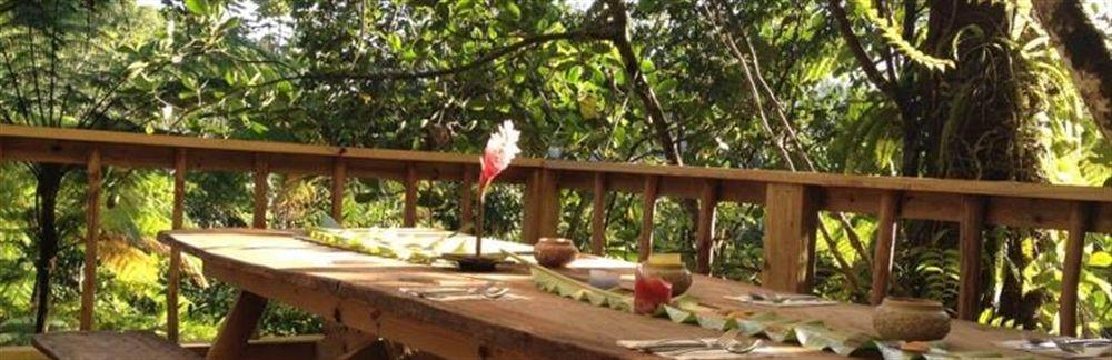Marigot Roots Jungle Retreatヴィラ エクステリア 写真