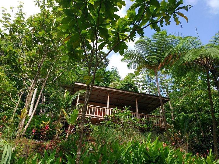 Marigot Roots Jungle Retreatヴィラ エクステリア 写真