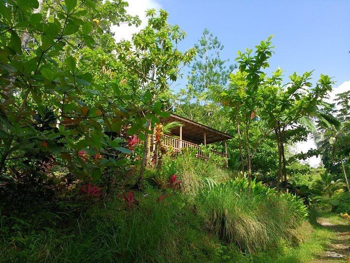 Marigot Roots Jungle Retreatヴィラ エクステリア 写真