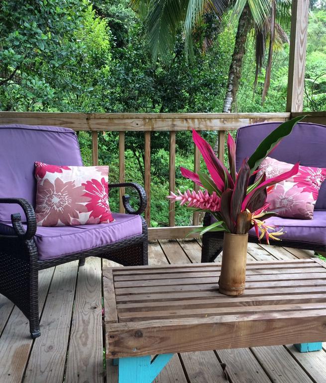 Marigot Roots Jungle Retreatヴィラ エクステリア 写真