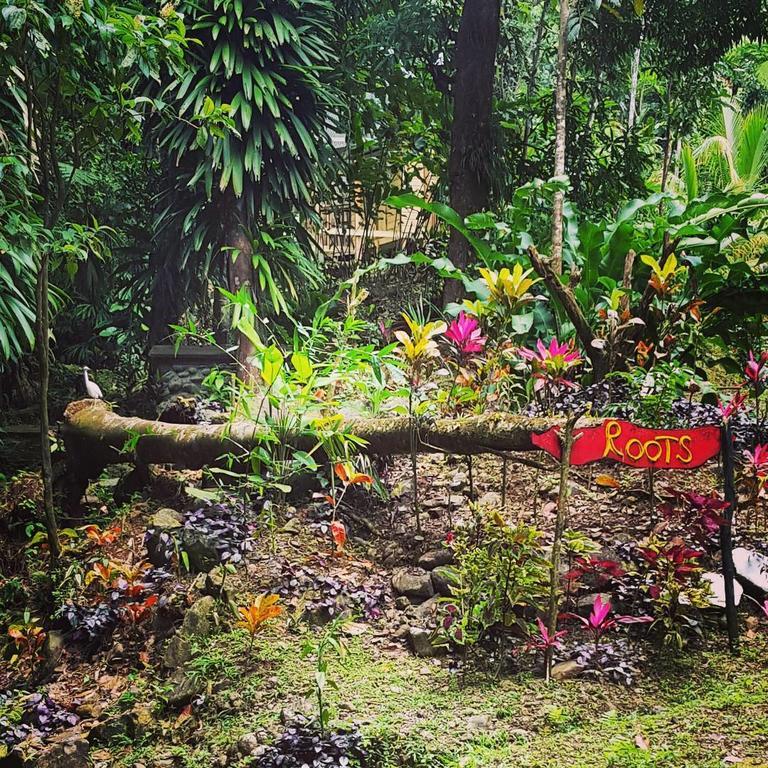 Marigot Roots Jungle Retreatヴィラ エクステリア 写真