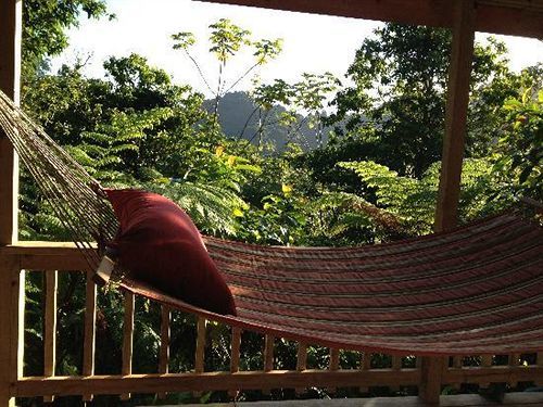 Marigot Roots Jungle Retreatヴィラ エクステリア 写真