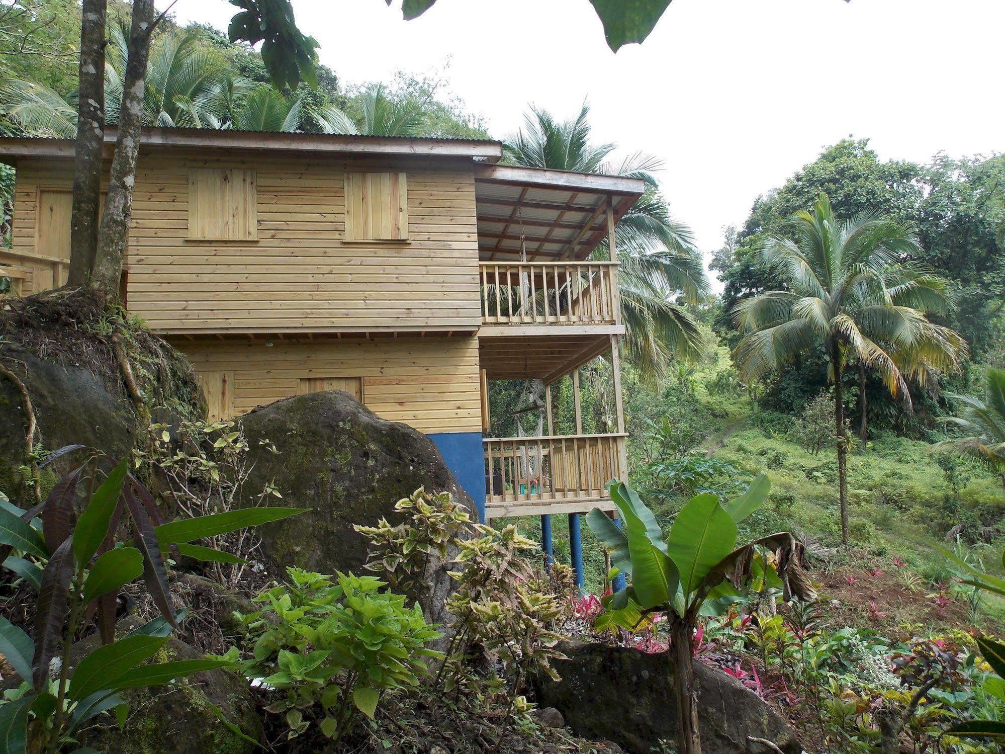 Marigot Roots Jungle Retreatヴィラ エクステリア 写真