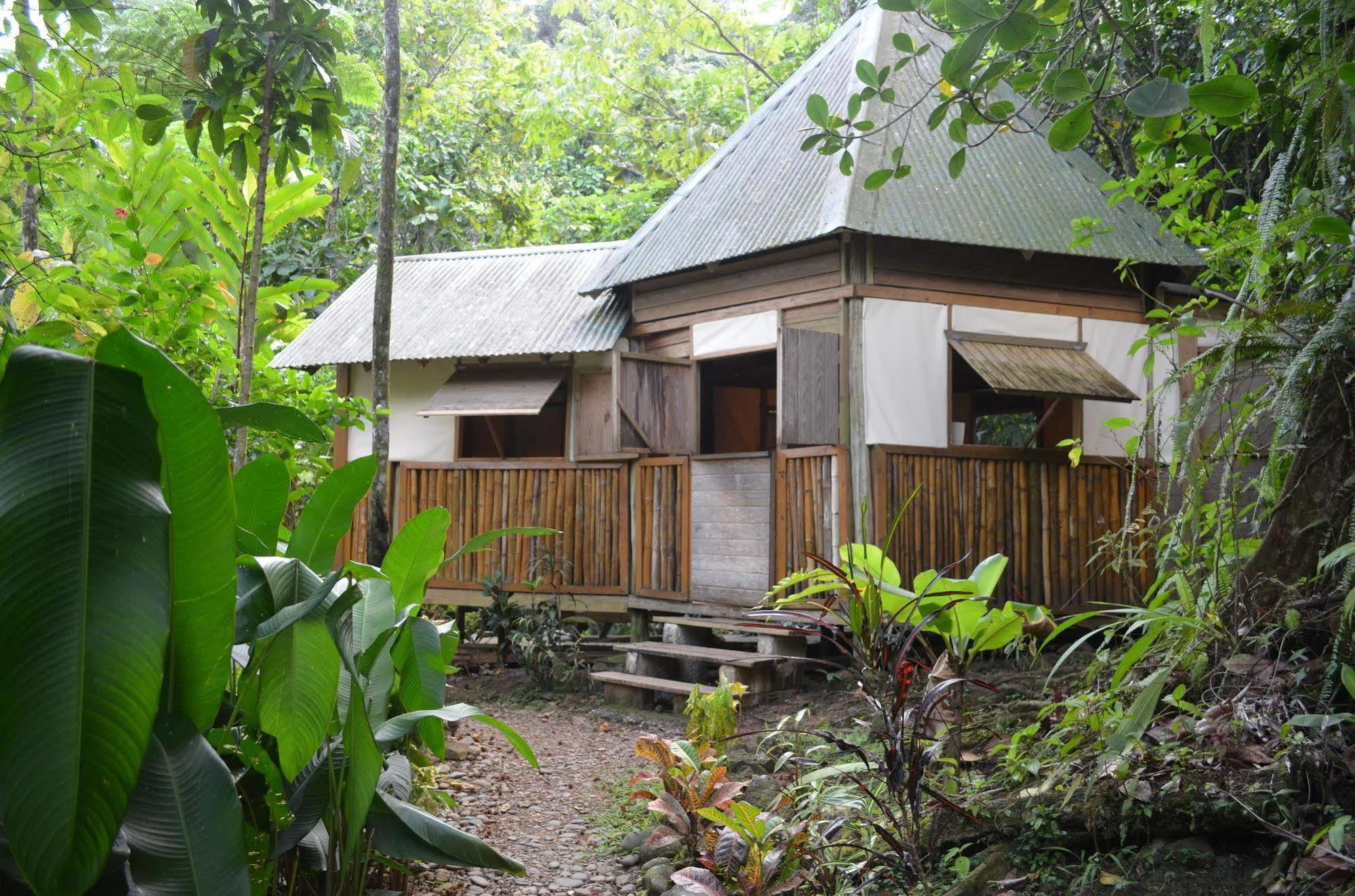 Marigot Roots Jungle Retreatヴィラ エクステリア 写真