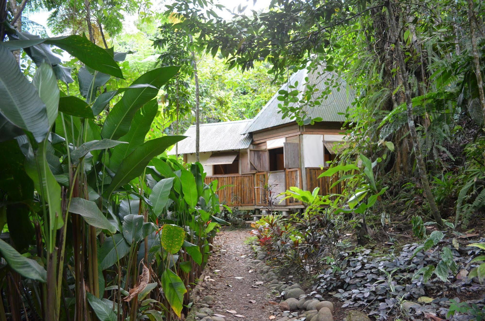 Marigot Roots Jungle Retreatヴィラ エクステリア 写真