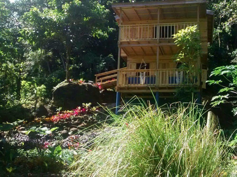 Marigot Roots Jungle Retreatヴィラ エクステリア 写真